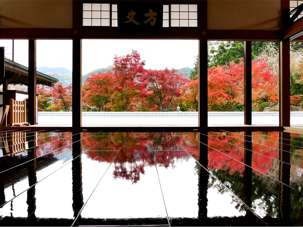 宝徳寺の紅葉まつり秋の床もみじ