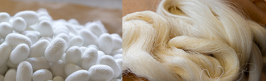 養蚕・製糸の歴史 | 富岡製糸場と絹産業遺産群 検索はとみきぬ